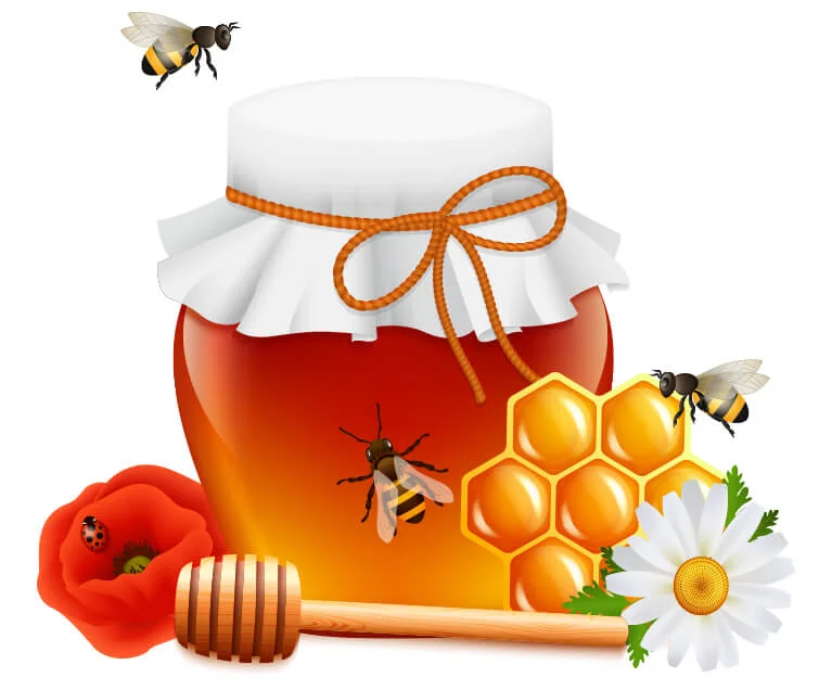 بهترین کانتور برای انواع پوست کدام‌اند؟