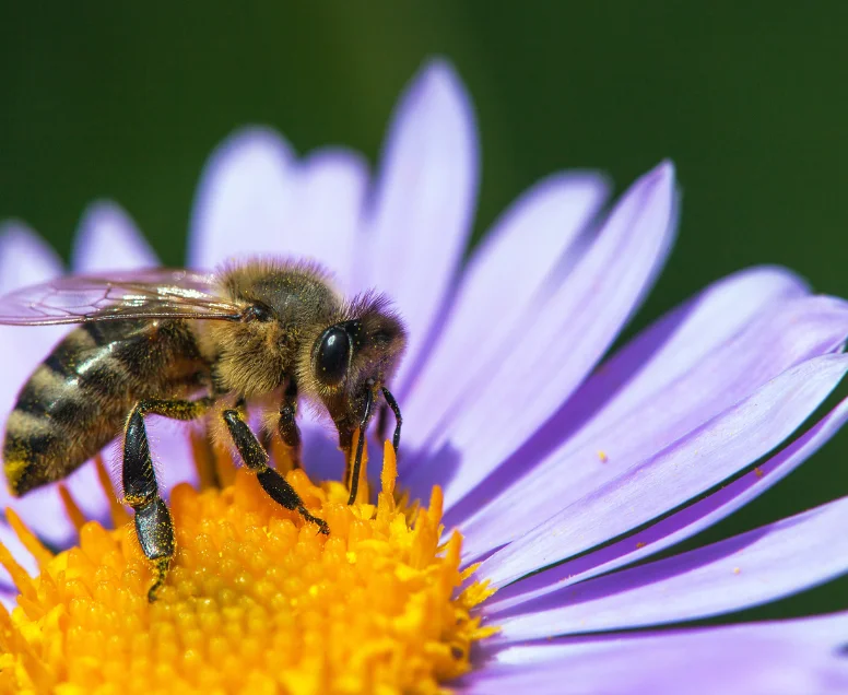 ۳۳ ترفند کاربردی واتساپ که باید بدانید